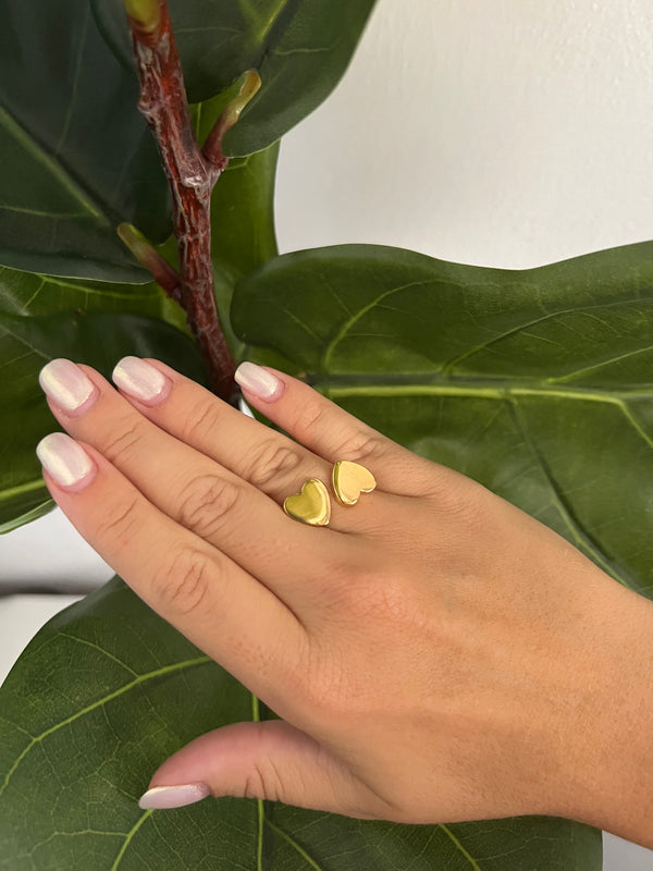 Anello Doppio Cuore
