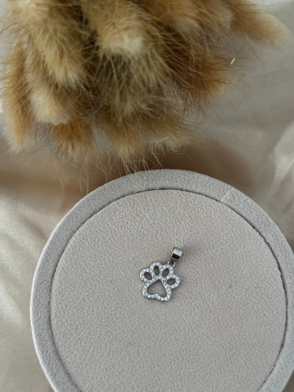 CHARM ZAMPETTA STRASS